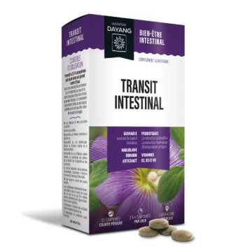 Dayang Transit intestinal...