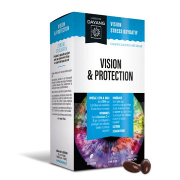 Dayang Vision & Protection...