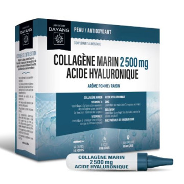 Dayang Collagène Marin 2500mg Acide Hyaluronique 14 doses