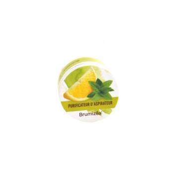 Brumizéa Spécial Aspirateur Citron Menthe 50g