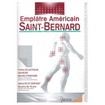 Saint Bernard Emplatre Américain 19x30cm