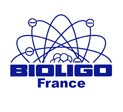 Bioligo